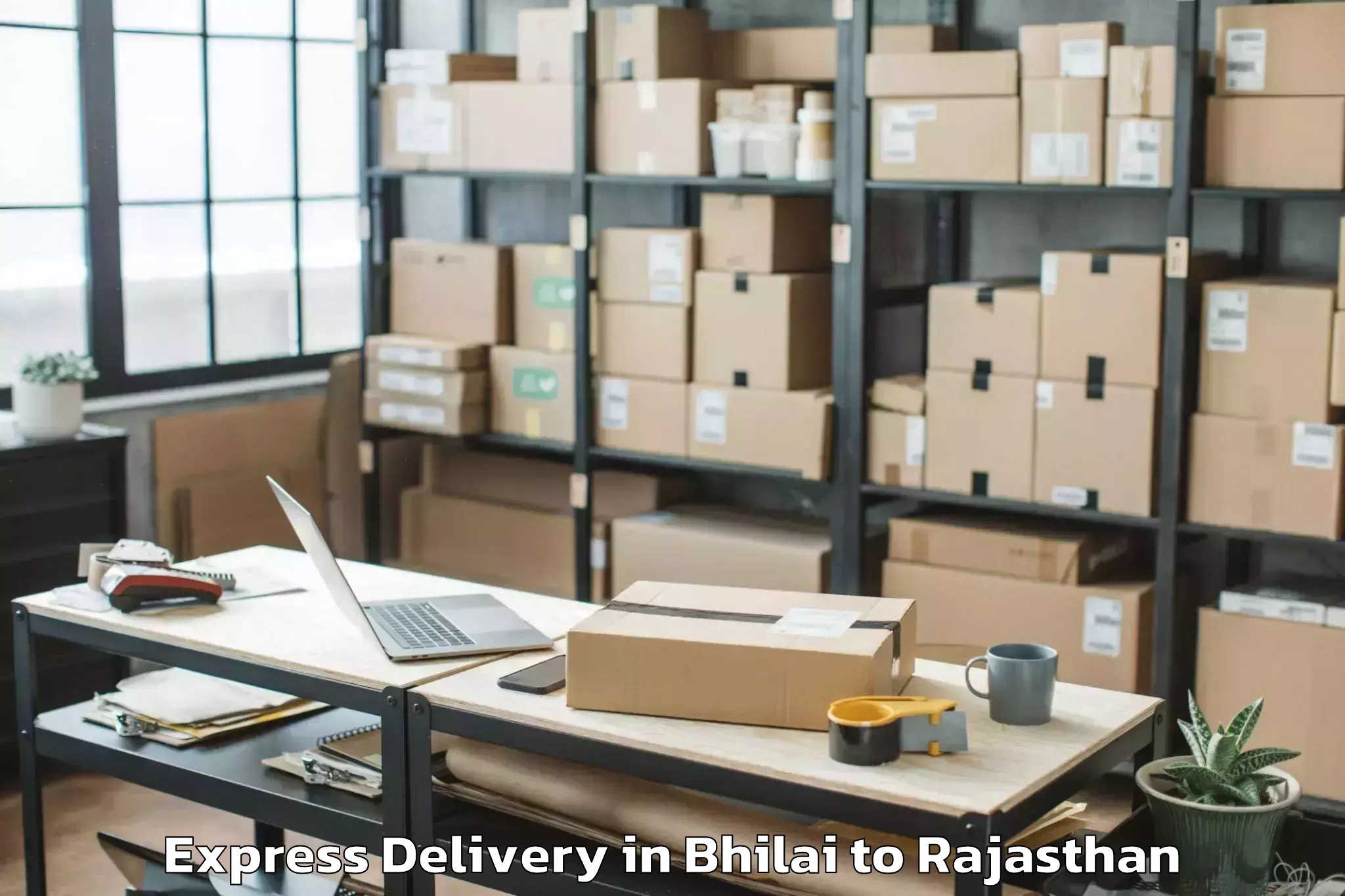 Leading Bhilai to Viratnagar Express Delivery Provider